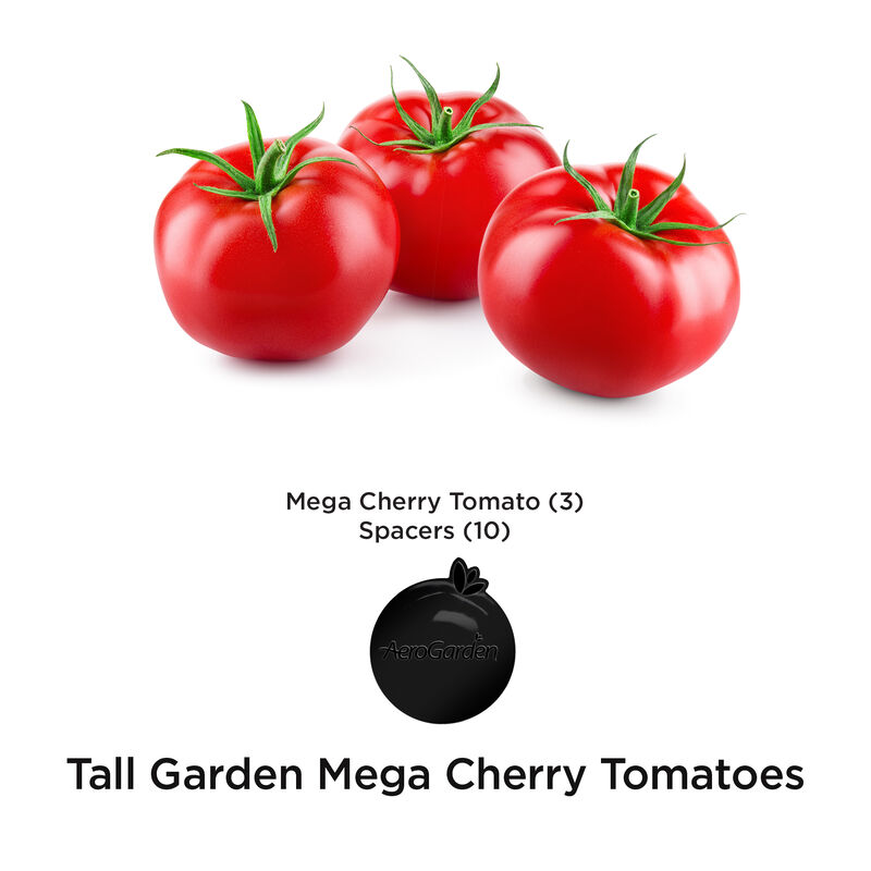 Mega Cherry Tomato Seed Pod Kit image number null